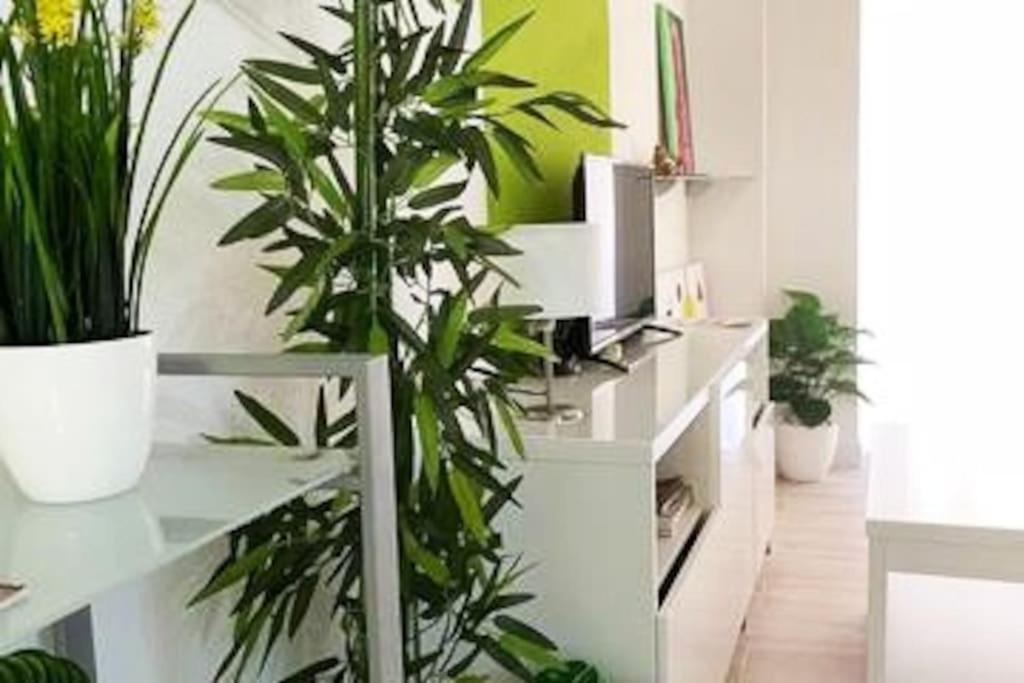 Apartment Modern Oscvict En